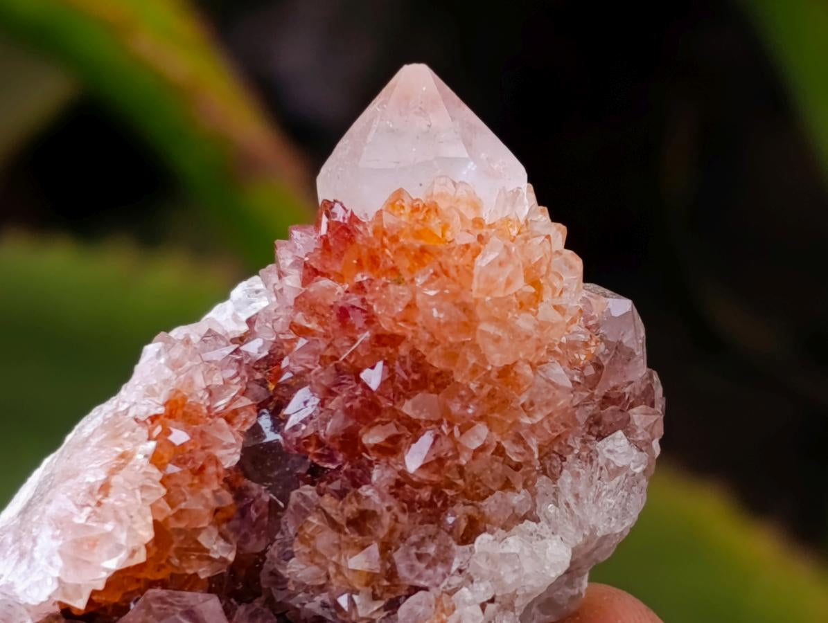 Natural Mixed Spirit Quartz Crystals and Clusters x 56 From Boekenhouthoek, South Africa