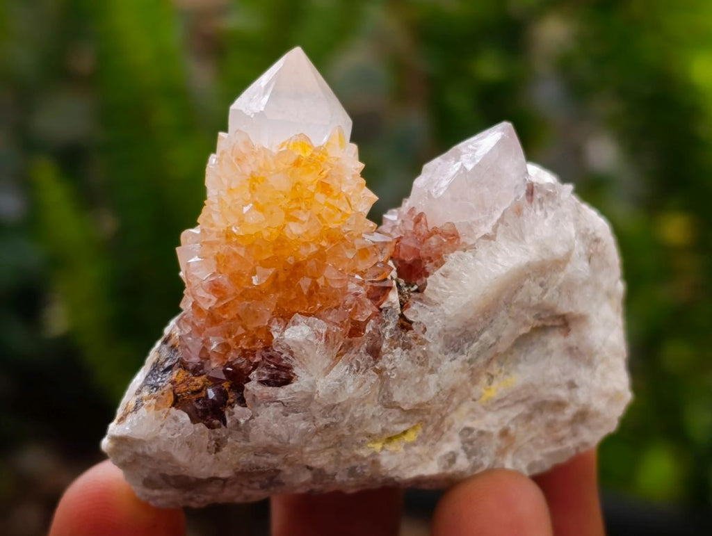Natural Mixed Spirit Quartz Crystals and Clusters x 56 From Boekenhouthoek, South Africa
