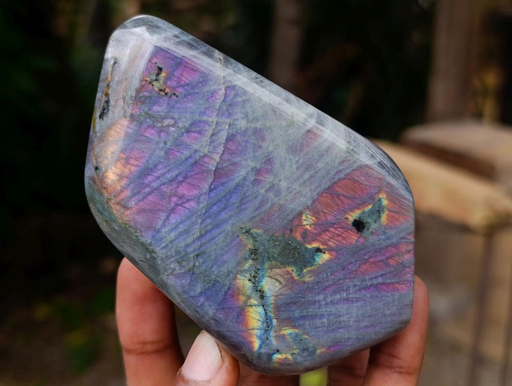 Polished Rare Purple Sunset Flash Labradorite Standing Free Forms x 5 From Madagascar