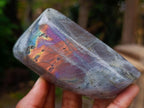 Polished Rare Purple Sunset Flash Labradorite Standing Free Forms x 5 From Madagascar