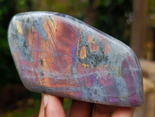 Polished Rare Purple Sunset Flash Labradorite Standing Free Forms x 5 From Madagascar