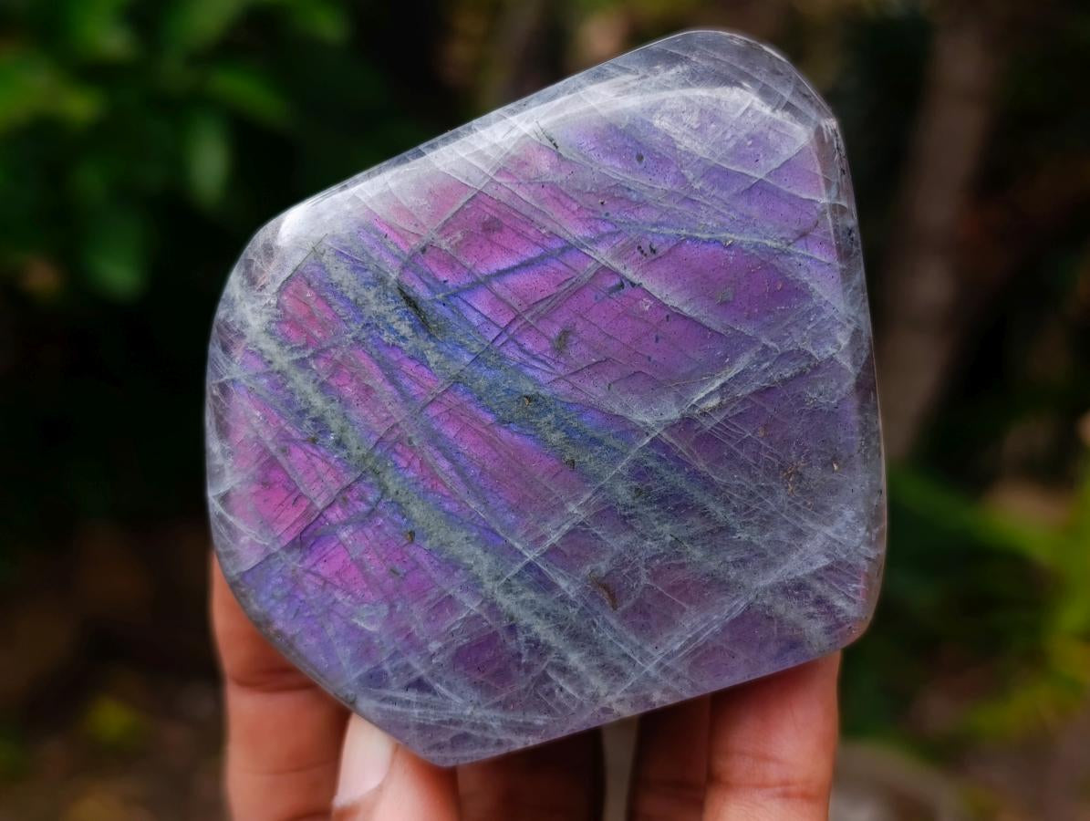 Polished Rare Purple Sunset Flash Labradorite Standing Free Forms x 5 From Madagascar