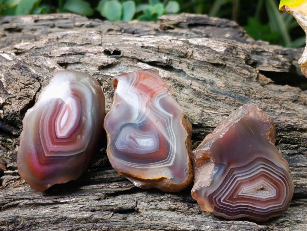 Polished One Side Red Shashe River Agate Nodules x 35 From Shashe River, Zimbabwe
