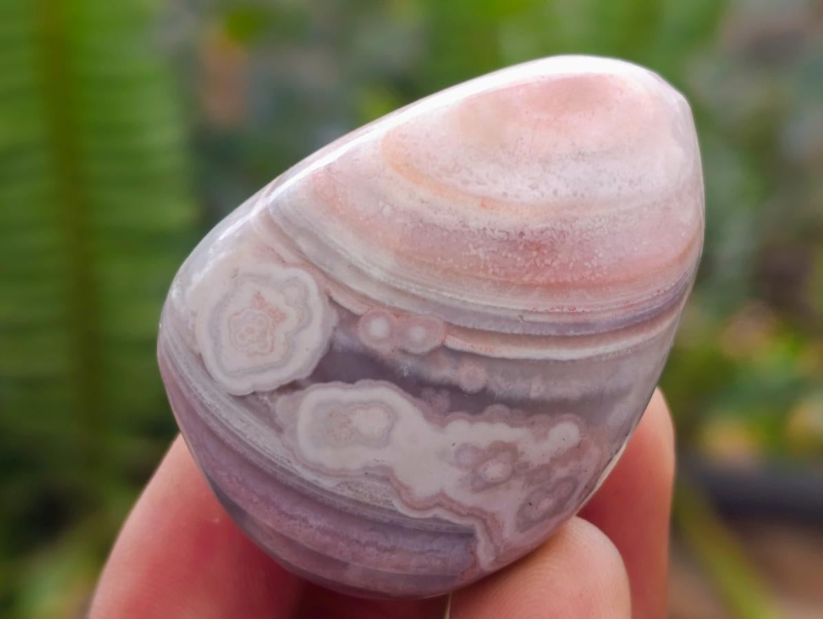 Polished One Side Red Shashe River Agate Nodules x 35 From Shashe River, Zimbabwe