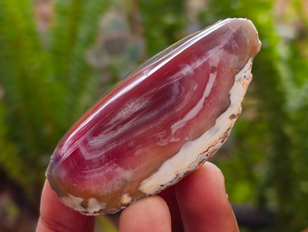 Polished One Side Red Shashe River Agate Nodules x 35 From Shashe River, Zimbabwe
