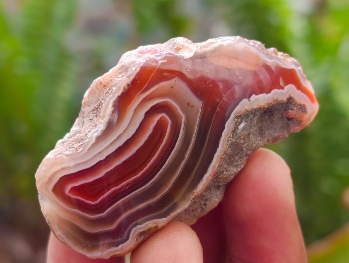 Polished One Side Red Shashe River Agate Nodules x 35 From Shashe River, Zimbabwe