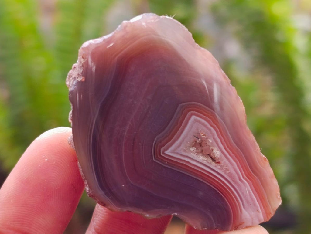 Polished One Side Red Shashe River Agate Nodules x 35 From Shashe River, Zimbabwe