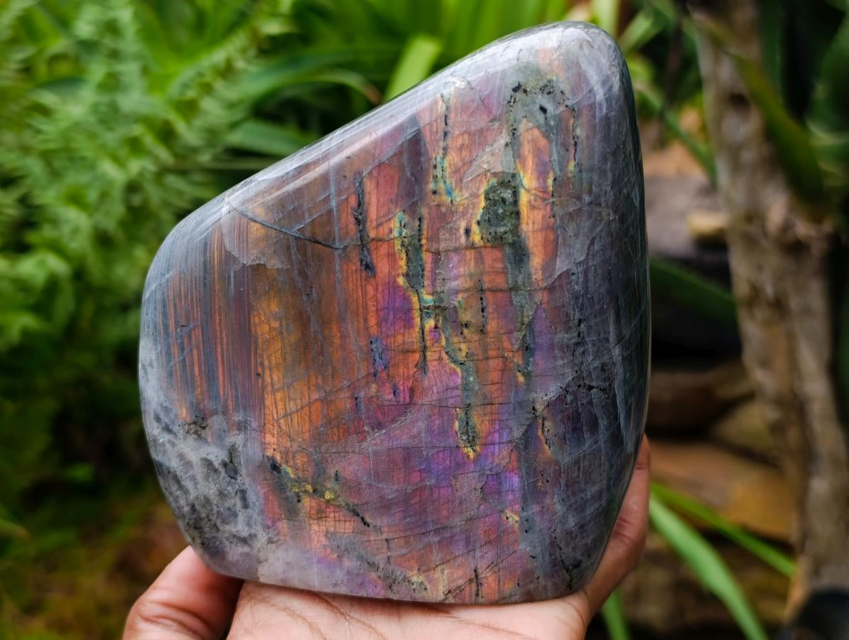 Polished Rare Purple Sunset Flash Labradorite Standing Free Forms x 2 From Madagascar - Toprock Gemstones and Minerals 