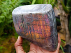 Polished Rare Purple Sunset Flash Labradorite Standing Free Forms x 2 From Madagascar - Toprock Gemstones and Minerals 