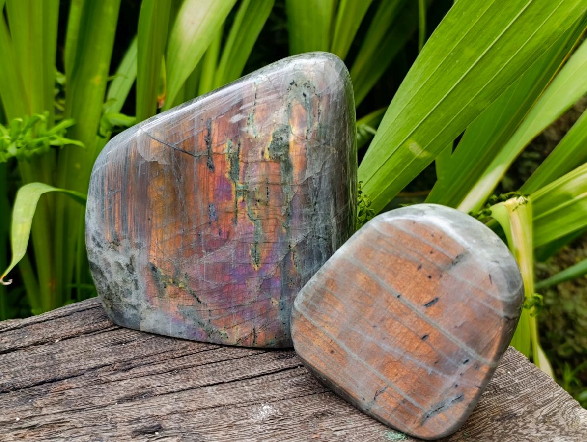 Polished Rare Purple Sunset Flash Labradorite Standing Free Forms x 2 From Madagascar - Toprock Gemstones and Minerals 