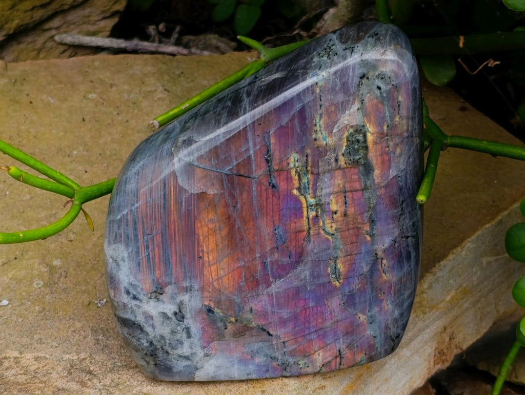 Polished Rare Purple Sunset Flash Labradorite Standing Free Forms x 2 From Madagascar - Toprock Gemstones and Minerals 