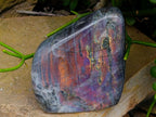 Polished Rare Purple Sunset Flash Labradorite Standing Free Forms x 2 From Madagascar - Toprock Gemstones and Minerals 