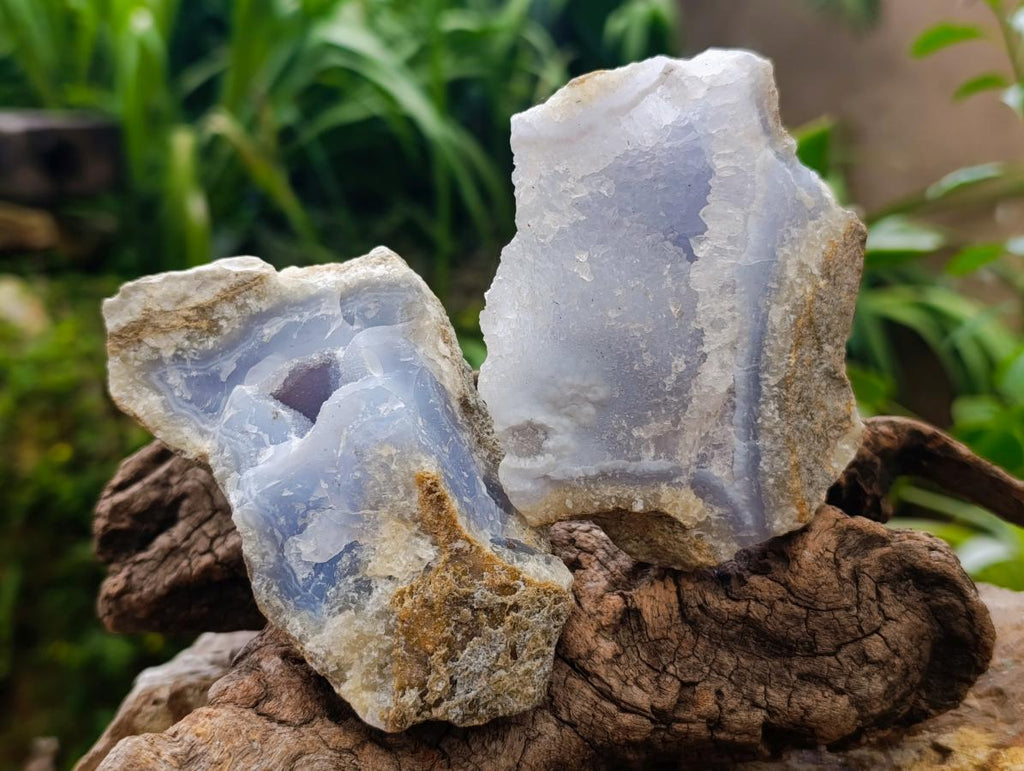 Natural Blue Lace Agate Geode Specimens x 8 From Nsanje, Malawi - Toprock Gemstones and Minerals 