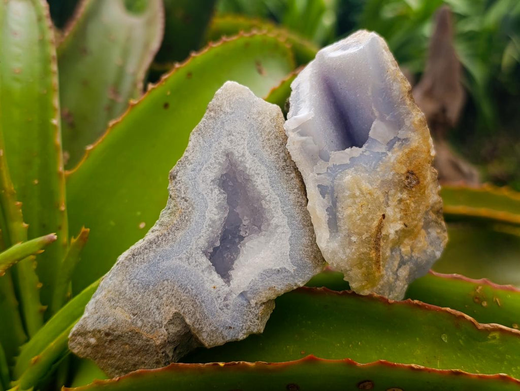 Natural Blue Lace Agate Geode Specimens x 8 From Nsanje, Malawi - Toprock Gemstones and Minerals 