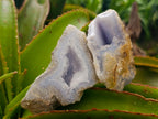 Natural Blue Lace Agate Geode Specimens x 8 From Nsanje, Malawi - Toprock Gemstones and Minerals 