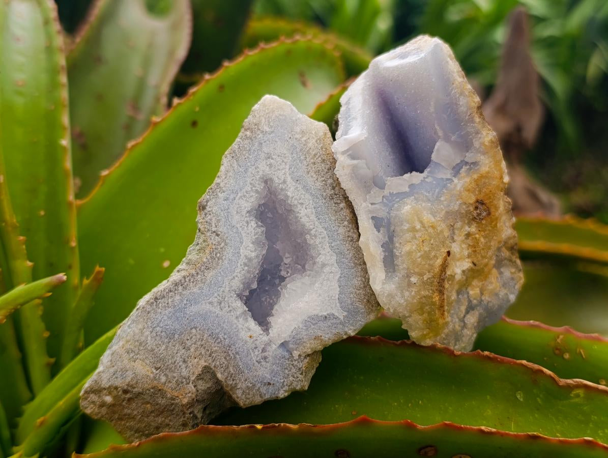 Natural Blue Lace Agate Geode Specimens x 8 From Nsanje, Malawi - Toprock Gemstones and Minerals 