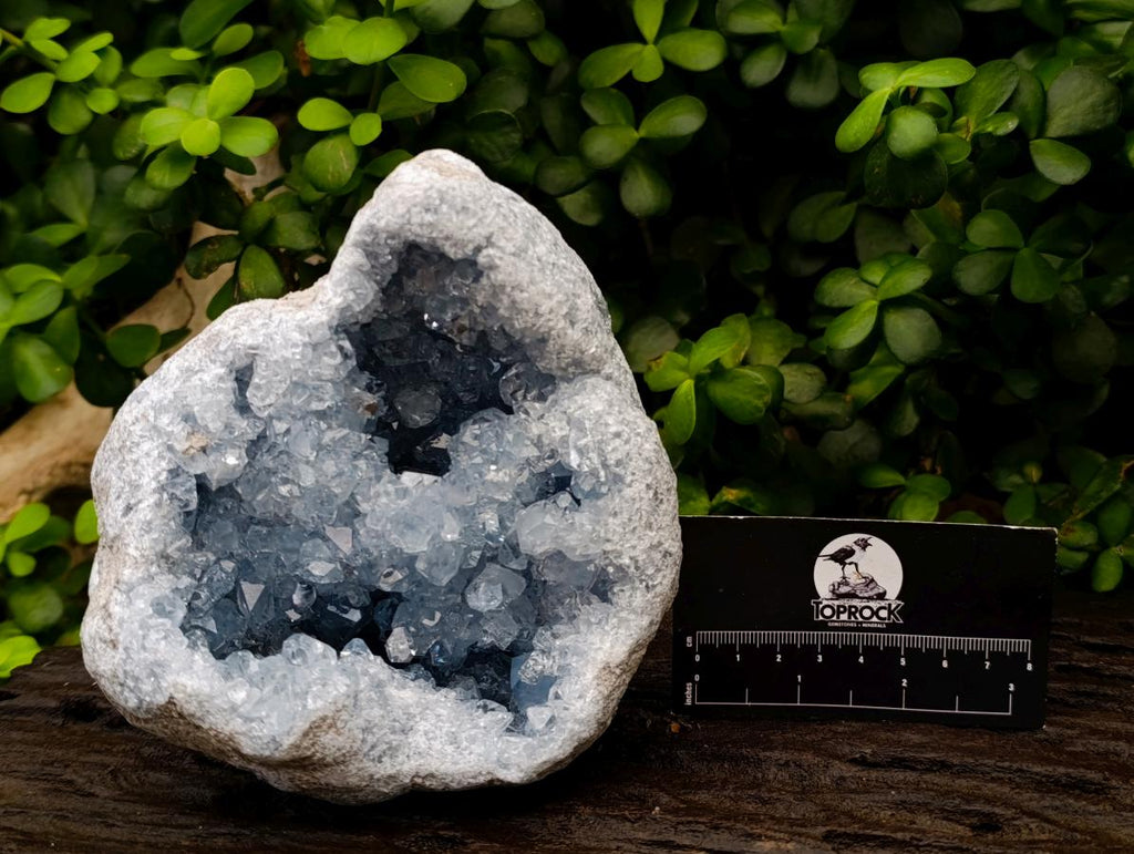 Natural Large Blue Celestite Geode Specimen x 1 From Sakoany, Madagascar
