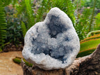 Natural Large Blue Celestite Geode Specimen x 1 From Sakoany, Madagascar