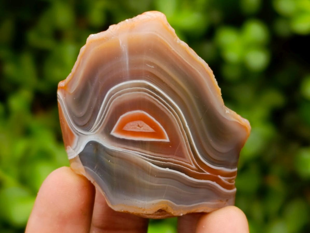 Polished One Side Red Shashe River Agate Nodules x 20 From Shashe River, Zimbabwe