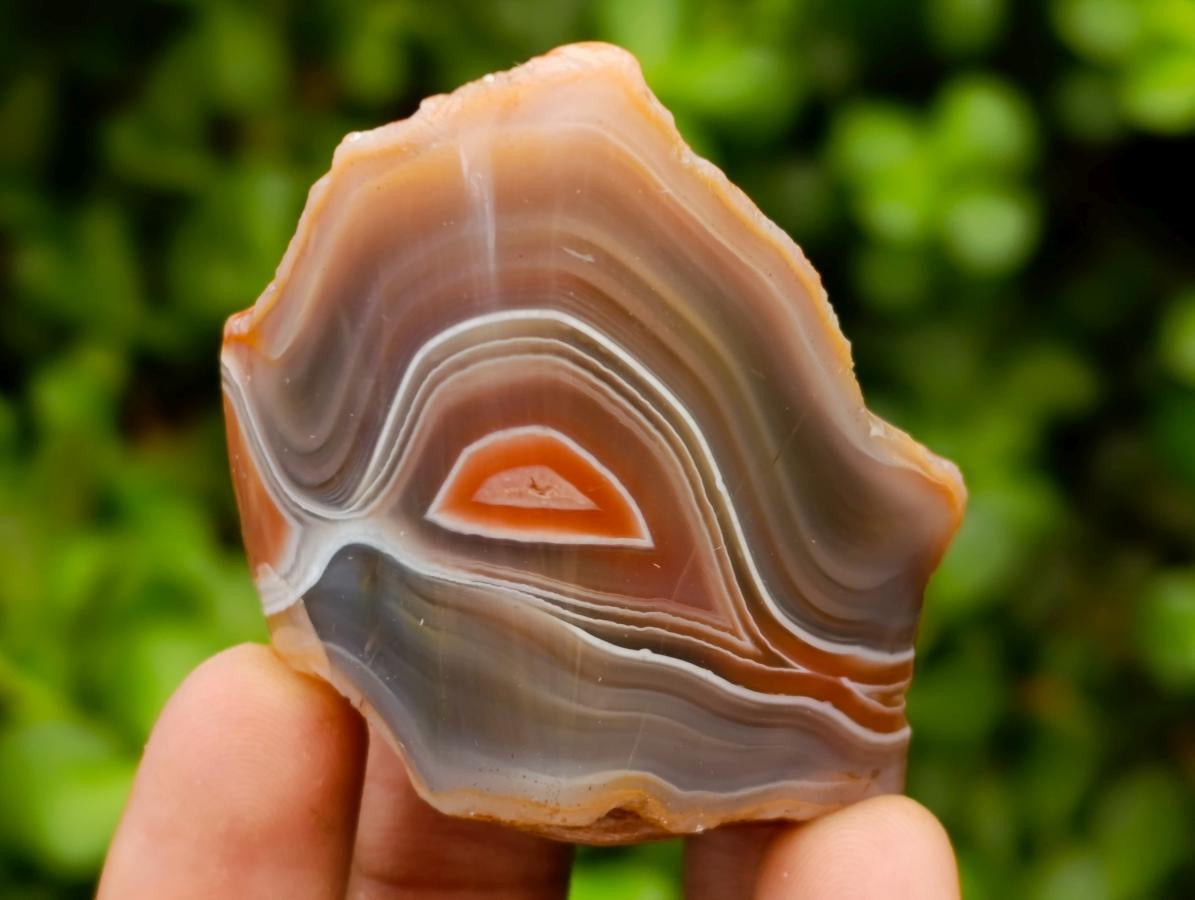 Polished One Side Red Shashe River Agate Nodules x 20 From Shashe River, Zimbabwe