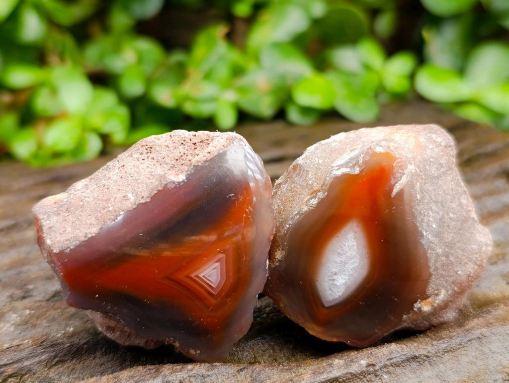 Polished One Side Red Shashe River Agate Nodules x 20 From Shashe River, Zimbabwe