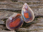Polished One Side Red Shashe River Agate Nodules x 20 From Shashe River, Zimbabwe
