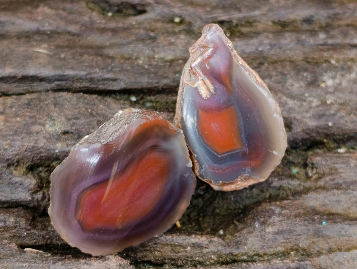 Polished One Side Red Shashe River Agate Nodules x 20 From Shashe River, Zimbabwe