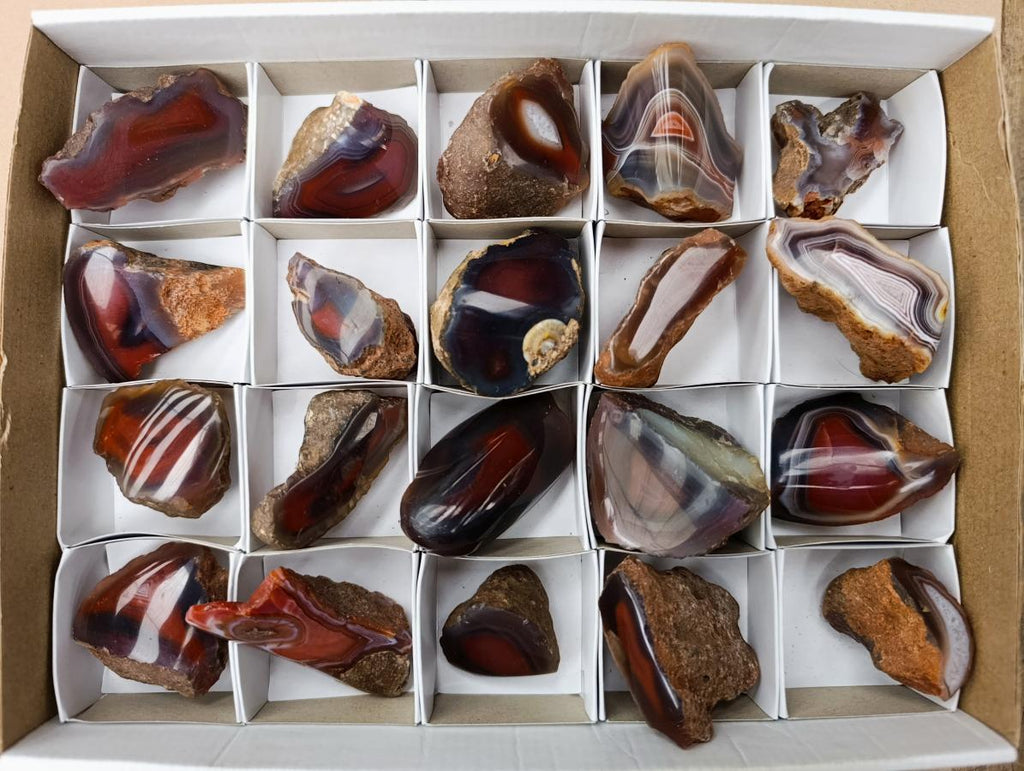 Polished One Side Red Shashe River Agate Nodules x 20 From Shashe River, Zimbabwe