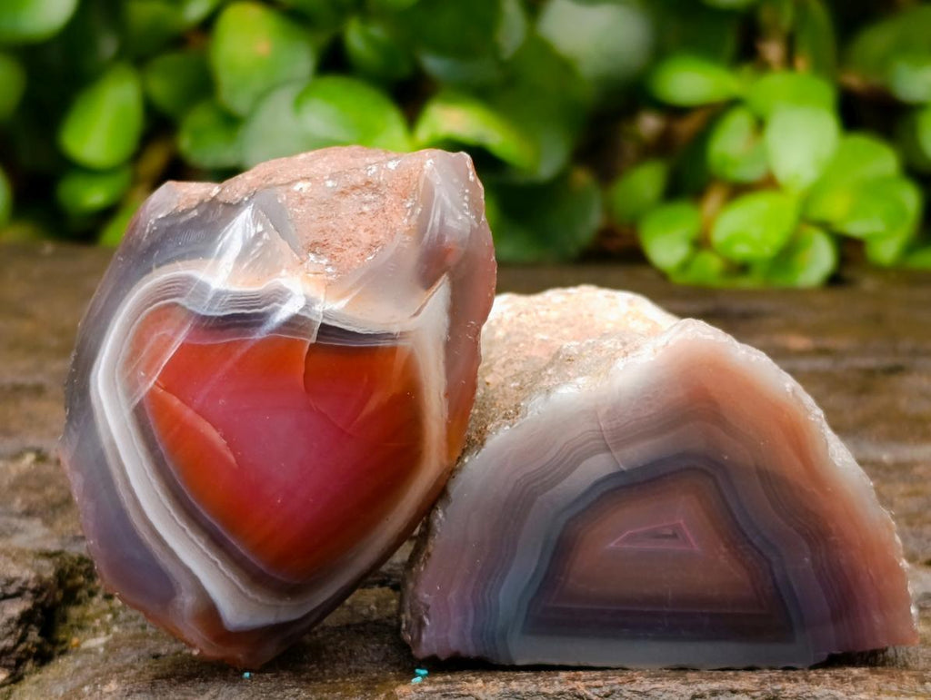 Polished One Side Red Shashe River Agate Nodules x 20 From Shashe River, Zimbabwe