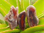 Polished One Side Red Shashe River Agate Nodules x 20 From Shashe River, Zimbabwe