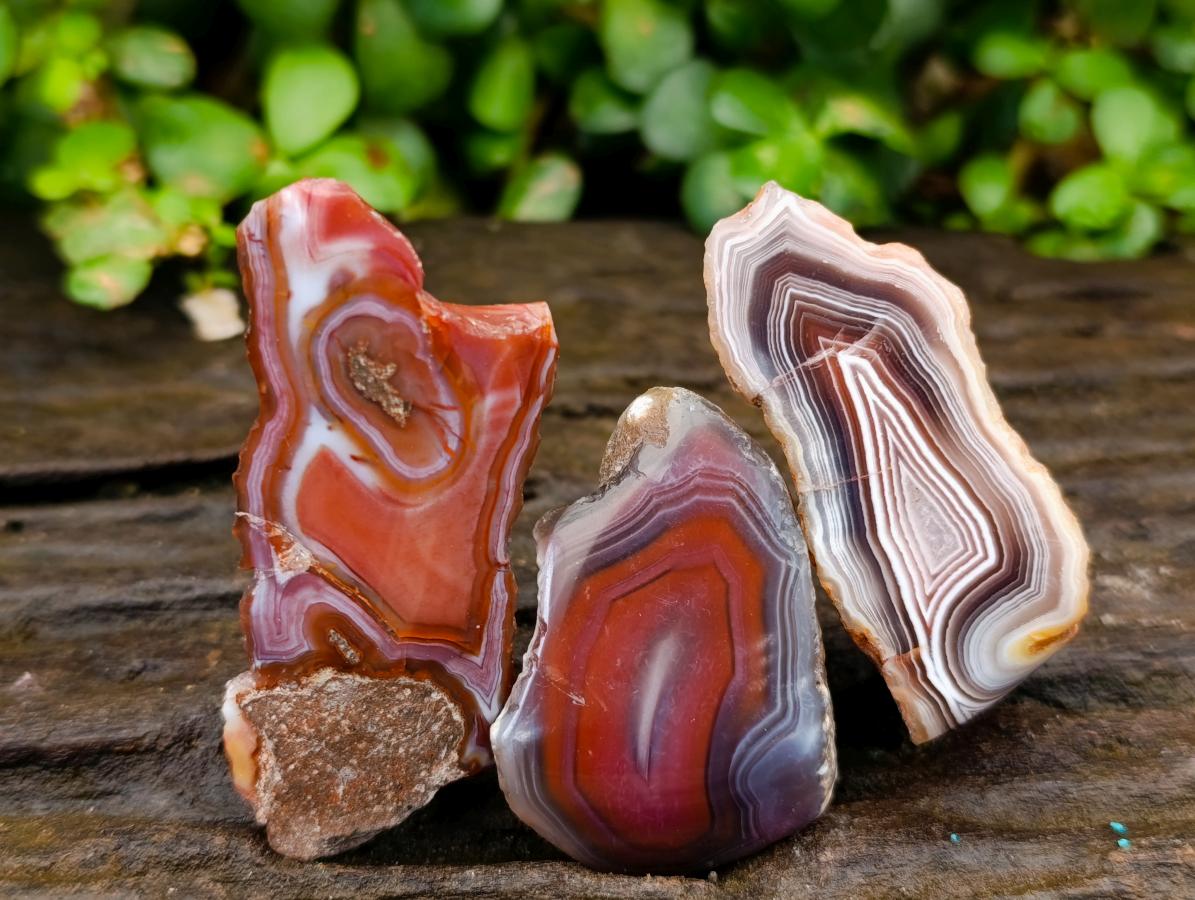 Polished One Side Red Shashe River Agate Nodules x 20 From Shashe River, Zimbabwe