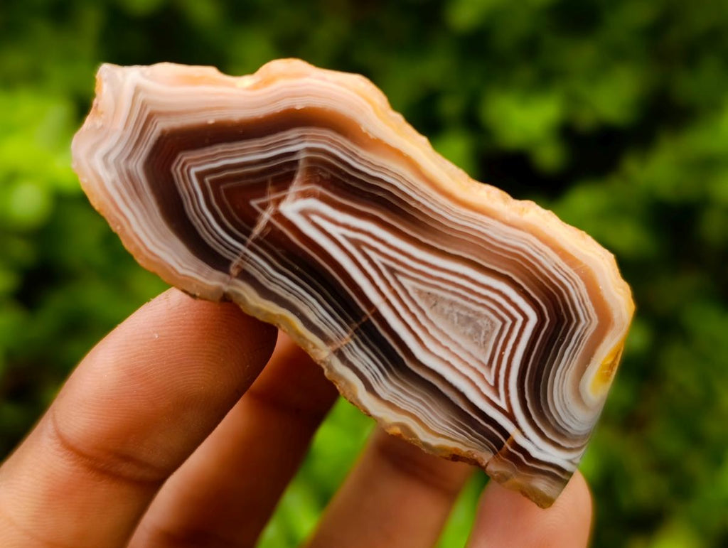 Polished One Side Red Shashe River Agate Nodules x 20 From Shashe River, Zimbabwe
