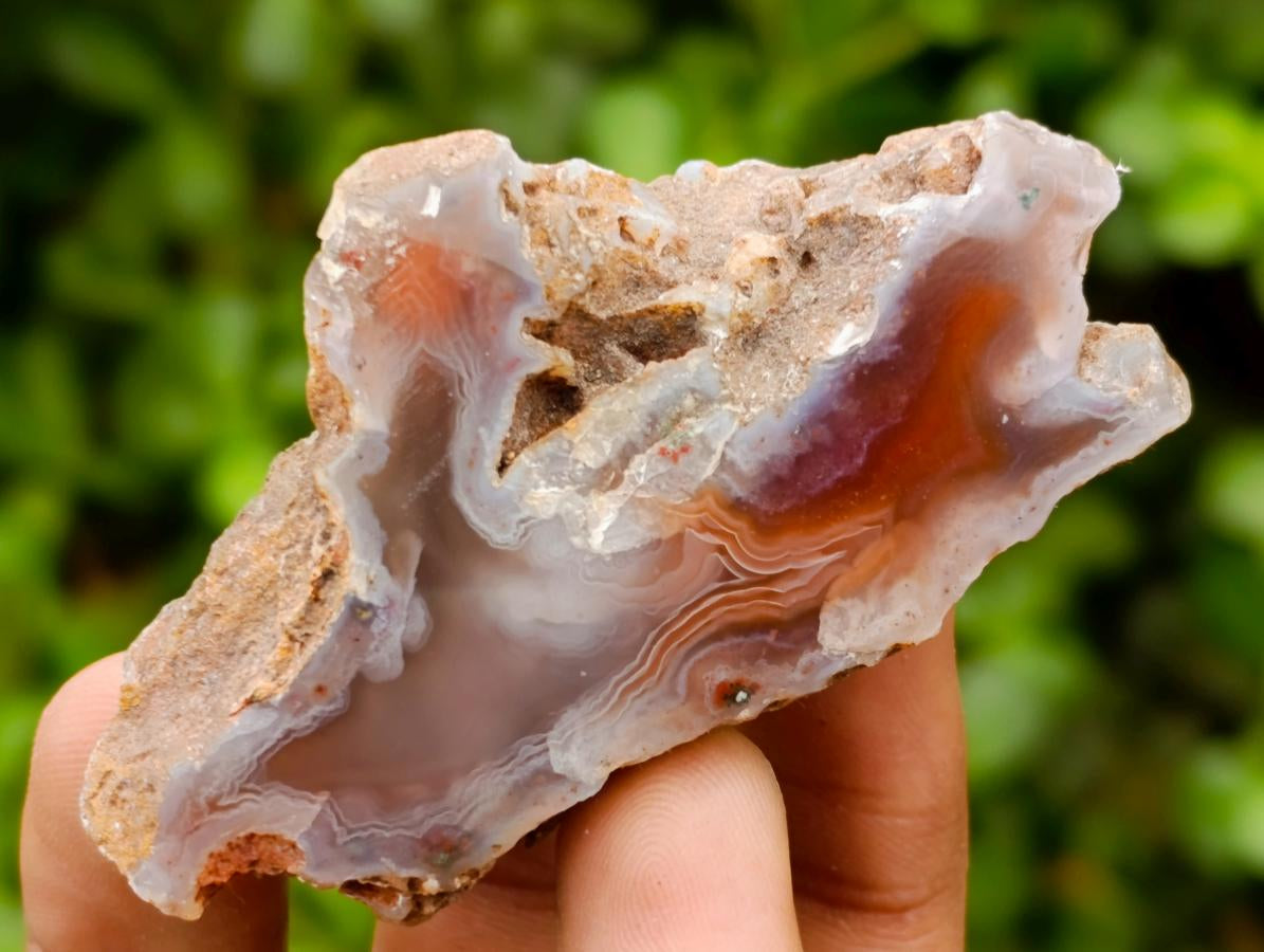 Polished One Side Red Shashe River Agate Nodules x 20 From Shashe River, Zimbabwe