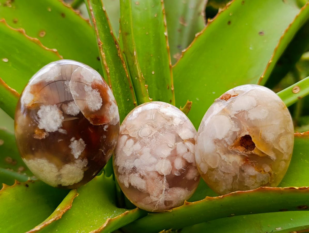 Polished Flower Agate Palm Stones x 20 From Antsahalova, Madagascar