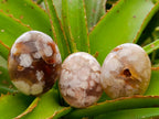 Polished Flower Agate Palm Stones x 20 From Antsahalova, Madagascar