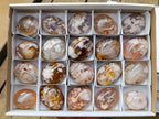 Polished Flower Agate Palm Stones x 20 From Antsahalova, Madagascar
