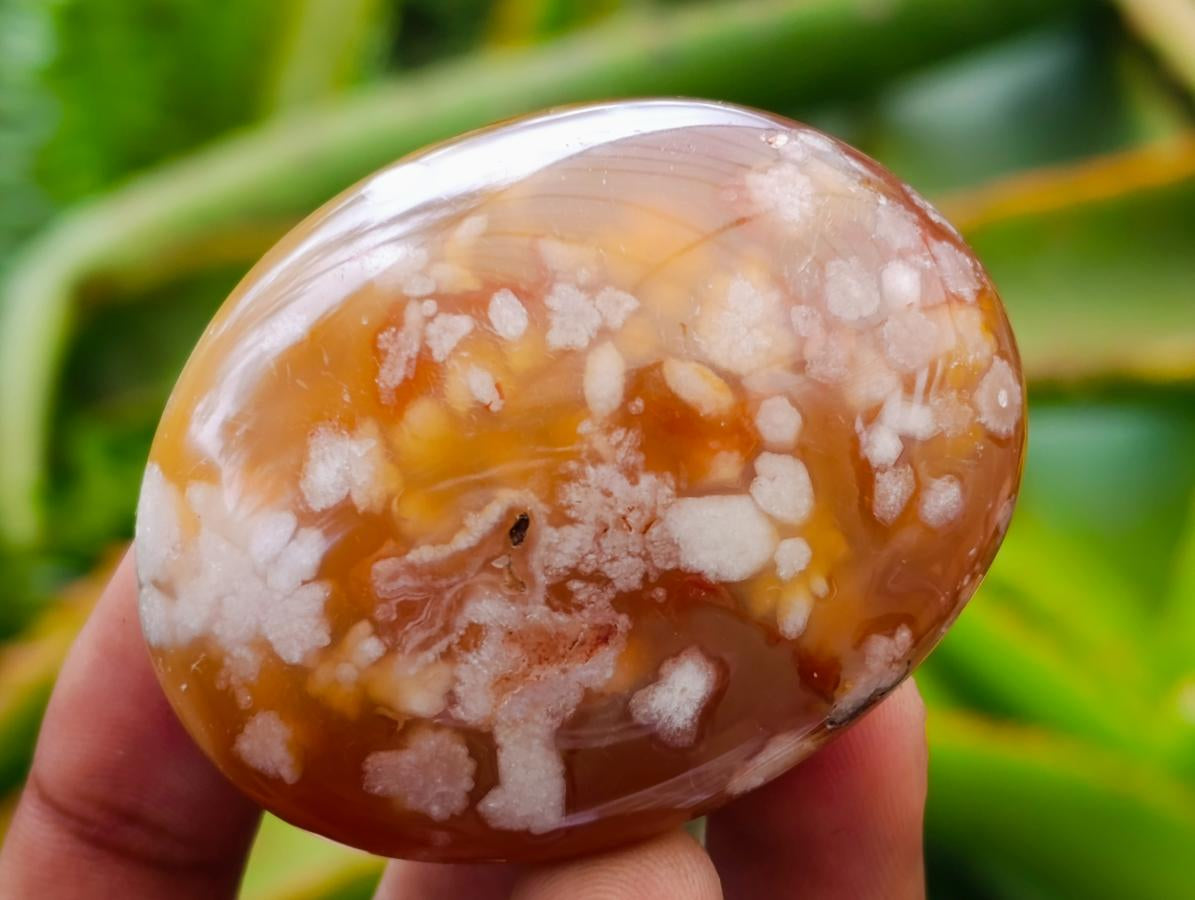 Polished Flower Agate Palm Stones x 20 From Antsahalova, Madagascar