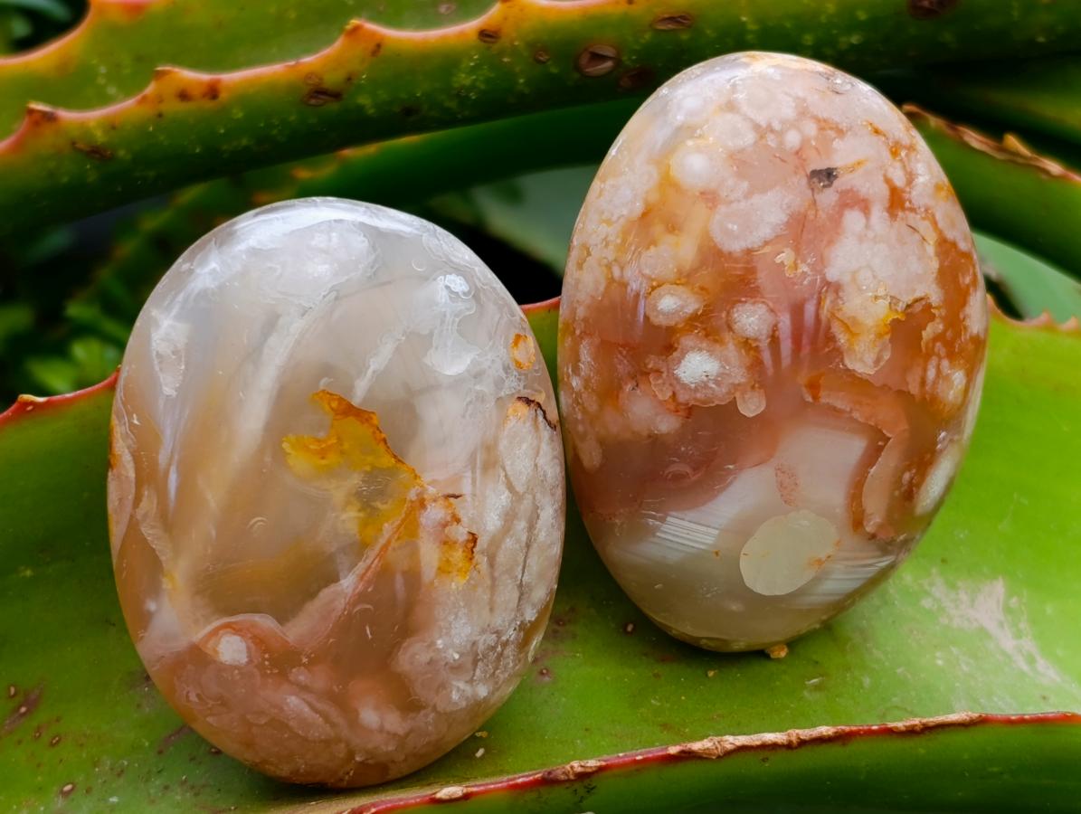 Polished Flower Agate Palm Stones x 20 From Antsahalova, Madagascar