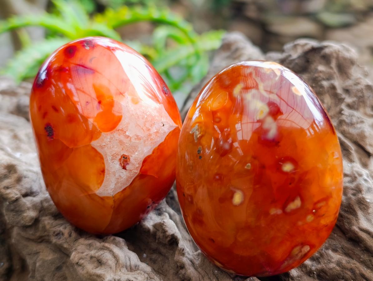 Polished Carnelian Agate Gemstone Galets x 12 From Madagascar