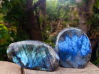 Polished Labradorite Standing Free Forms x 2 From Madagascar