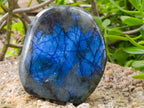 Polished Labradorite Standing Free Forms x 2 From Madagascar