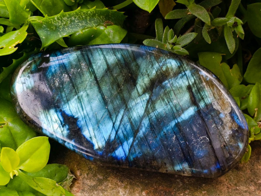 Polished Labradorite Standing Free Forms x 2 From Madagascar