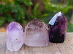 Polished Window Amethyst Crystals x 12 From Akansobe, Madagascar
