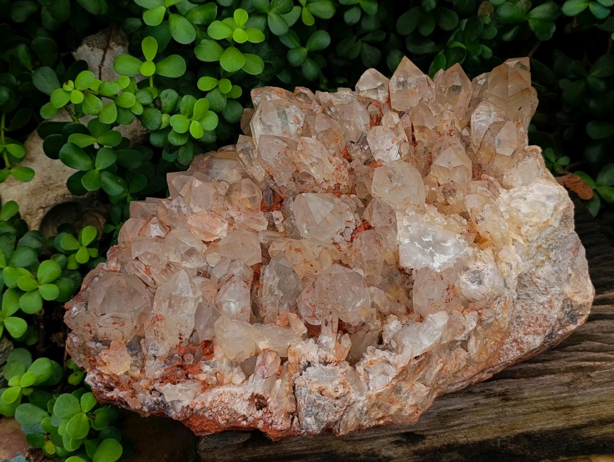 Natural XXL Pale Smokey Citrine Quartz Crystal Cluster x 1 From Luena, Congo - Toprock Gemstones and Minerals 