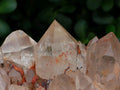 Natural XXL Pale Smokey Citrine Quartz Crystal Cluster x 1 From Luena, Congo - Toprock Gemstones and Minerals 