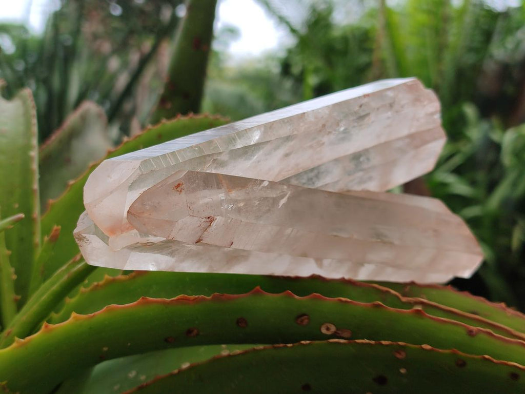 Natural Clear Phantom Quartz Crystals x 2 From Madagascar