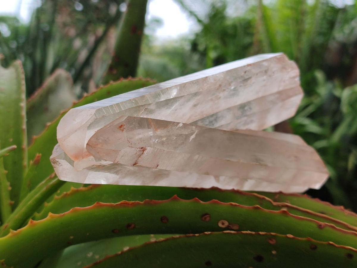 Natural Clear Phantom Quartz Crystals x 2 From Madagascar