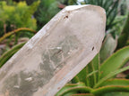 Natural Clear Phantom Quartz Crystals x 2 From Madagascar
