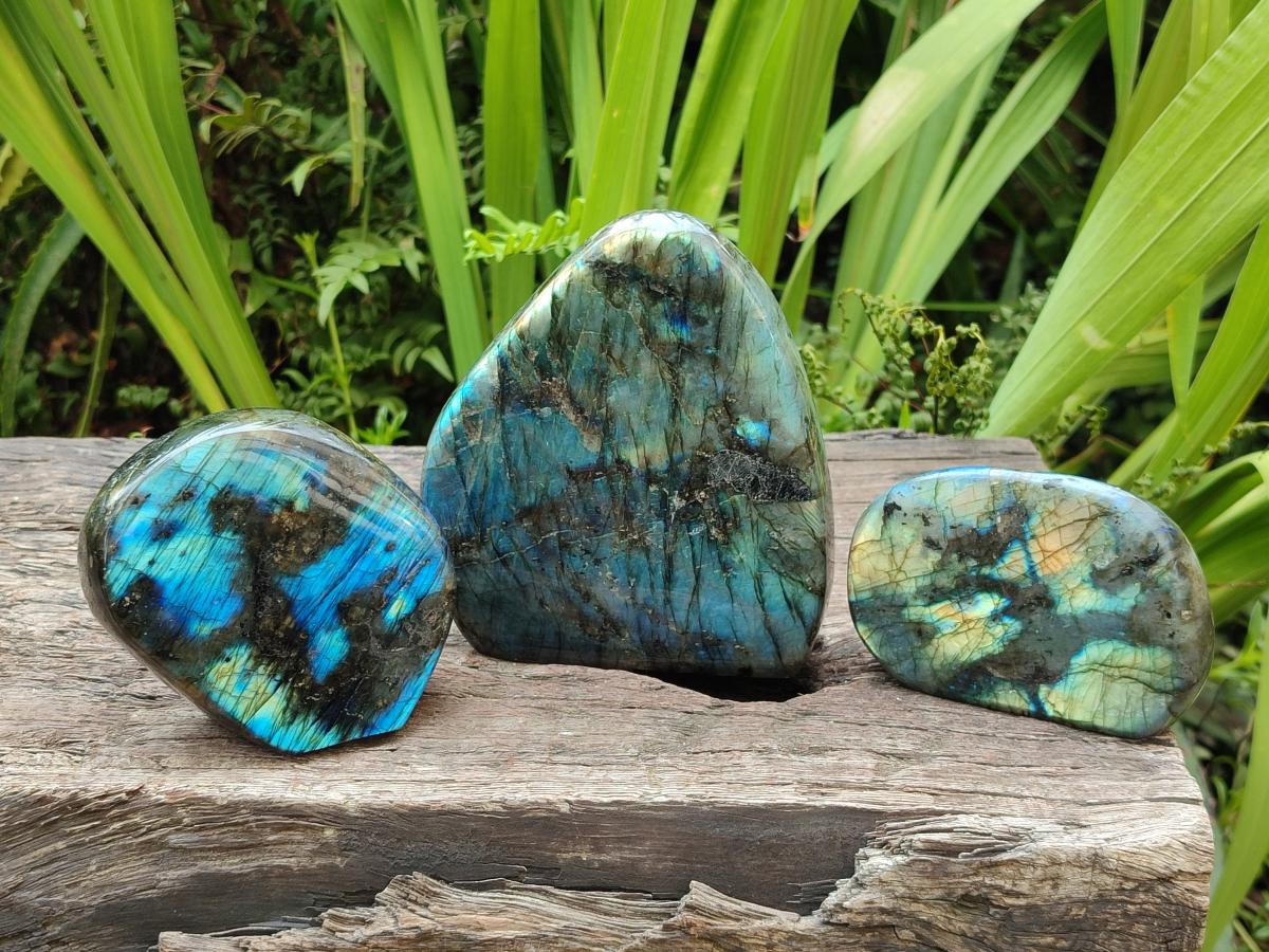 Polished Labradorite Standing Free Forms x 3 From Madagascar