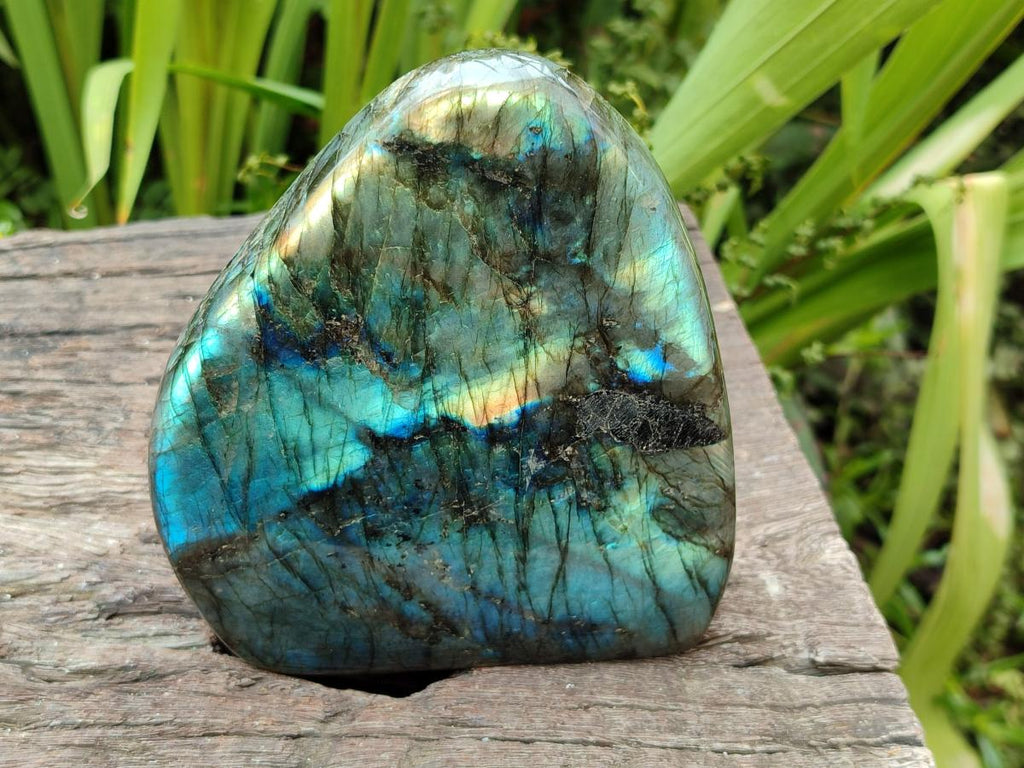Polished Labradorite Standing Free Forms x 3 From Madagascar